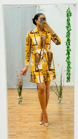 Leann printed shirt dress